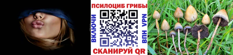 Галлюциногенные грибы GOLDEN TEACHER  Пласт 